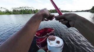 Vietnam Fishing TV: рыбалка на карася в пруду с сильным течением во Вьетнаме