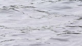 Vietnam Fishing TV: рыбалка на карася в пруду с сильным течением во Вьетнаме