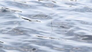 Vietnam Fishing TV: рыбалка на карася в пруду с сильным течением во Вьетнаме