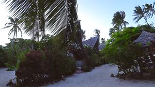 Занзибар самостоятельно Jambiani Michamvi и ресторан The Rock в Pingwe первый выезд по южным пляжам