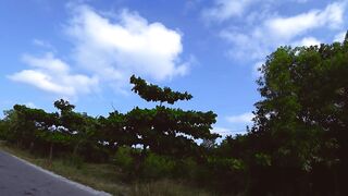 Занзибар самостоятельно Jambiani Michamvi и ресторан The Rock в Pingwe первый выезд по южным пляжам