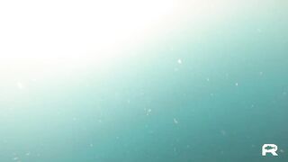 Sanya China рыбалка и охота 9 апреля 2024 прогулка по Хайнаню с удочкой и ружьём у моря