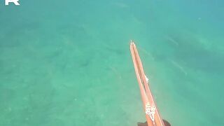 Sanya China рыбалка и охота 9 апреля 2024 прогулка по Хайнаню с удочкой и ружьём у моря