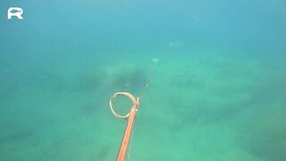 Sanya China рыбалка и охота 9 апреля 2024 прогулка по Хайнаню с удочкой и ружьём у моря