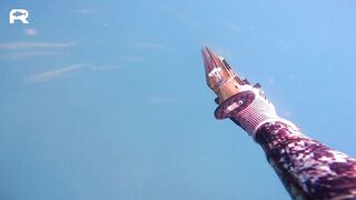 Sanya China рыбалка и охота 9 апреля 2024 прогулка по Хайнаню с удочкой и ружьём у моря