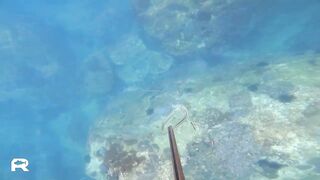 Sanya China рыбалка и охота 9 апреля 2024 прогулка по Хайнаню с удочкой и ружьём у моря