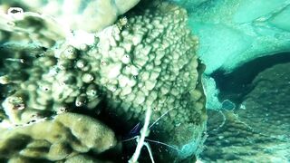 Sanya China рыбалка и охота 9 апреля 2024 прогулка по Хайнаню с удочкой и ружьём у моря