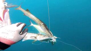 Sanya China рыбалка и охота 9 апреля 2024 прогулка по Хайнаню с удочкой и ружьём у моря