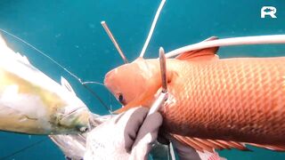 Sanya China рыбалка и охота 9 апреля 2024 прогулка по Хайнаню с удочкой и ружьём у моря