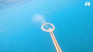 Sanya China рыбалка и охота 9 апреля 2024 прогулка по Хайнаню с удочкой и ружьём у моря