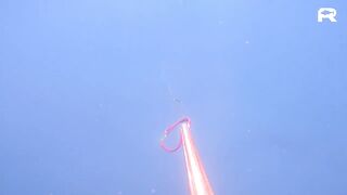 Sanya China рыбалка и охота 9 апреля 2024 прогулка по Хайнаню с удочкой и ружьём у моря