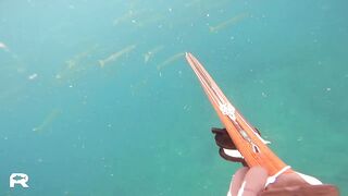 Sanya China рыбалка и охота 9 апреля 2024 прогулка по Хайнаню с удочкой и ружьём у моря