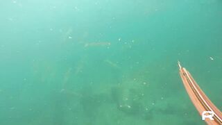 Sanya China рыбалка и охота 9 апреля 2024 прогулка по Хайнаню с удочкой и ружьём у моря