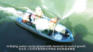 Сомнительное хобби рыбалка в Пекине каналы парки шумный мегаполис и взгляды местных жителей