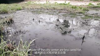 Сомнительное хобби рыбалка в Пекине каналы парки шумный мегаполис и взгляды местных жителей