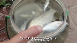 Сомнительное хобби рыбалка в Пекине каналы парки шумный мегаполис и взгляды местных жителей