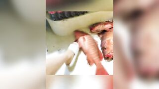 Hainan рыбалка на Хайнане за 10000 юаней 60 кг red snapper за три дня и две ночи в море