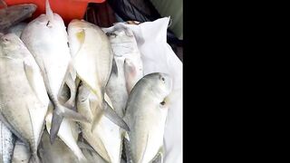 Khao Lak Thailand морская рыбалка в Таиланде у Khao Lak GT на попперы и джиг с лодки longtail