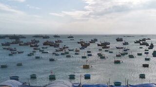 Рыбацкая гавань Mui Ne Phan Thiet Vietnam утро в порту с лодками и свежим уловом