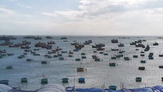 Рыбацкая гавань Mui Ne Phan Thiet Vietnam утро в порту с лодками и свежим уловом