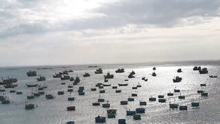 Рыбацкая гавань Mui Ne Phan Thiet Vietnam утро в порту с лодками и свежим уловом