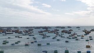 Рыбацкая гавань Mui Ne Phan Thiet Vietnam утро в порту с лодками и свежим уловом