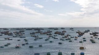 Рыбацкая гавань Mui Ne Phan Thiet Vietnam утро в порту с лодками и свежим уловом