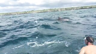 Zanzibar Kizimkazi прогулка к дельфинам утренний океан и выход в море с рыбацких лодок деревни