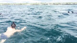 Zanzibar Kizimkazi прогулка к дельфинам утренний океан и выход в море с рыбацких лодок деревни