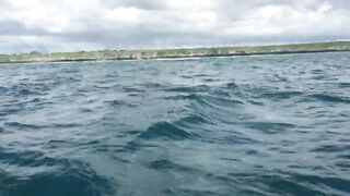 Zanzibar Kizimkazi прогулка к дельфинам утренний океан и выход в море с рыбацких лодок деревни