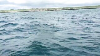 Zanzibar Kizimkazi прогулка к дельфинам утренний океан и выход в море с рыбацких лодок деревни