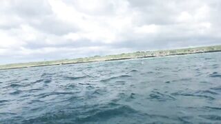 Zanzibar Kizimkazi прогулка к дельфинам утренний океан и выход в море с рыбацких лодок деревни