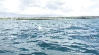 Zanzibar Kizimkazi прогулка к дельфинам утренний океан и выход в море с рыбацких лодок деревни