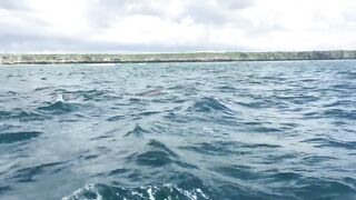 Zanzibar Kizimkazi прогулка к дельфинам утренний океан и выход в море с рыбацких лодок деревни