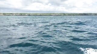 Zanzibar Kizimkazi прогулка к дельфинам утренний океан и выход в море с рыбацких лодок деревни