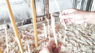 Ослики полуострова Карпас и монастырь Апостола Андрея, путешествие по самому краю Северного Кипра