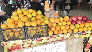 Ослики полуострова Карпас и монастырь Апостола Андрея, путешествие по самому краю Северного Кипра