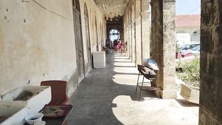 Ослики полуострова Карпас и монастырь Апостола Андрея, путешествие по самому краю Северного Кипра