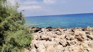 Ослики полуострова Карпас и монастырь Апостола Андрея, путешествие по самому краю Северного Кипра