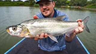 Bass fishing weekend, рыбалка на басса под Шанхаем и расслабленные выходные на городских водоёмах