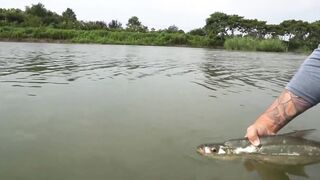 Bass fishing weekend, рыбалка на басса под Шанхаем и расслабленные выходные на городских водоёмах