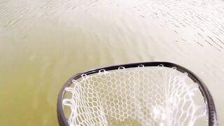 Bass fishing weekend, рыбалка на басса под Шанхаем и расслабленные выходные на городских водоёмах