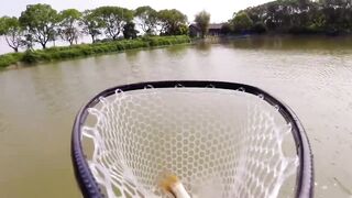 Bass fishing weekend, рыбалка на басса под Шанхаем и расслабленные выходные на городских водоёмах