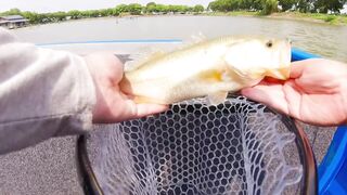 Bass fishing weekend, рыбалка на басса под Шанхаем и расслабленные выходные на городских водоёмах