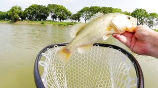 Bass fishing weekend, рыбалка на басса под Шанхаем и расслабленные выходные на городских водоёмах