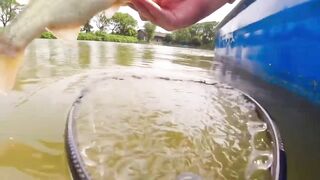 Bass fishing weekend, рыбалка на басса под Шанхаем и расслабленные выходные на городских водоёмах