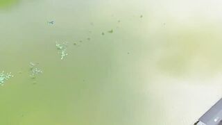 Bass fishing weekend, рыбалка на басса под Шанхаем и расслабленные выходные на городских водоёмах