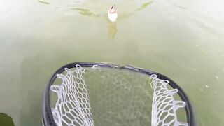 Bass fishing weekend, рыбалка на басса под Шанхаем и расслабленные выходные на городских водоёмах