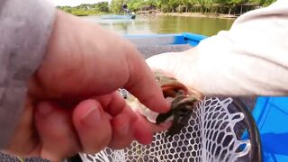 Bass fishing weekend, рыбалка на басса под Шанхаем и расслабленные выходные на городских водоёмах