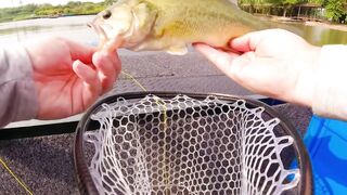 Bass fishing weekend, рыбалка на басса под Шанхаем и расслабленные выходные на городских водоёмах